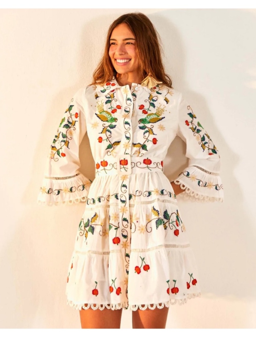 New Farm Rio Pitanga Embroidered Belted Mini Dress Sz M